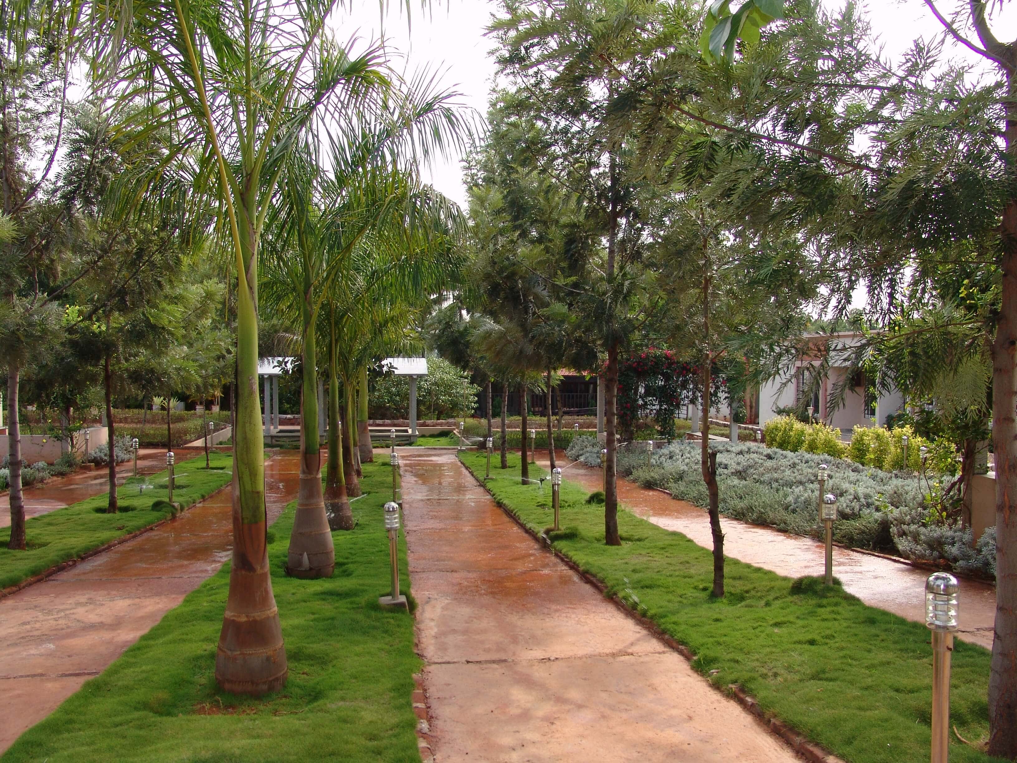 Trees and Herb Plants in Sharadindu - Sree Senior Homes